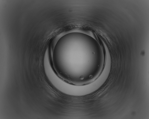 X0000095670509200801151107