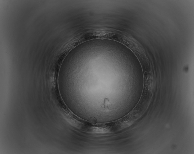 X0000095670510200801151107