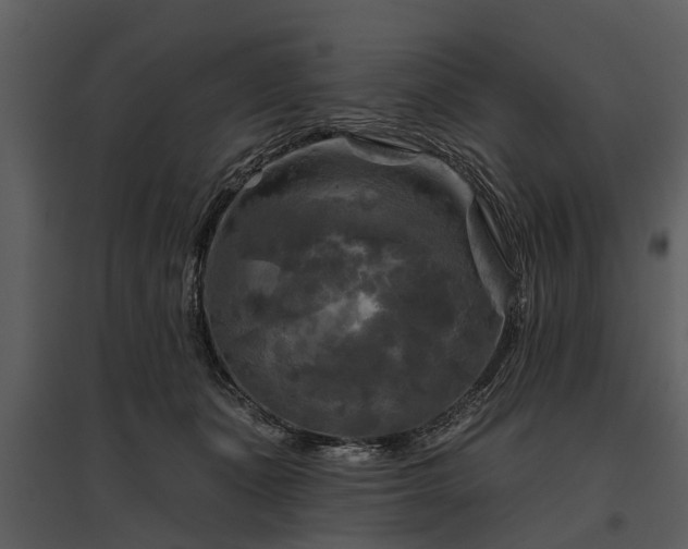 X0000095670511200801151107