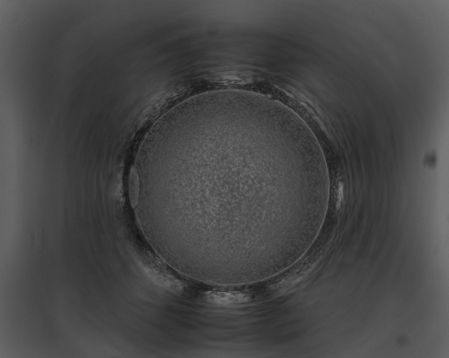 X0000095670512200801151107