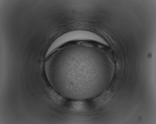 X0000095670513200801151107