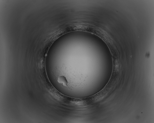 X0000095670514200801151107