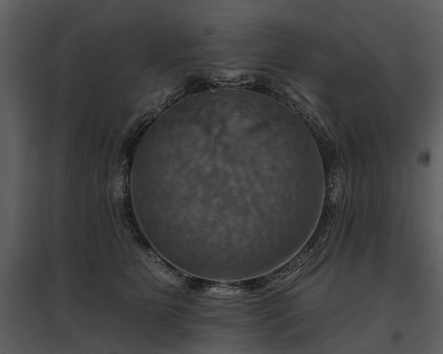 X0000095670515200801151107