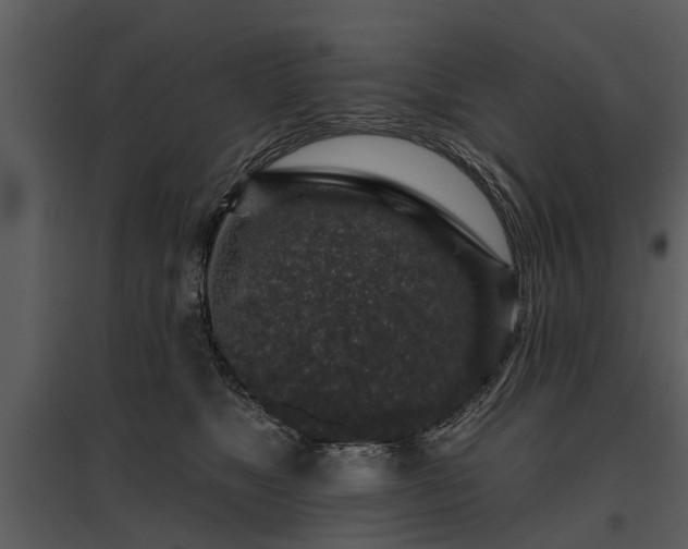 X0000095670517200801151107