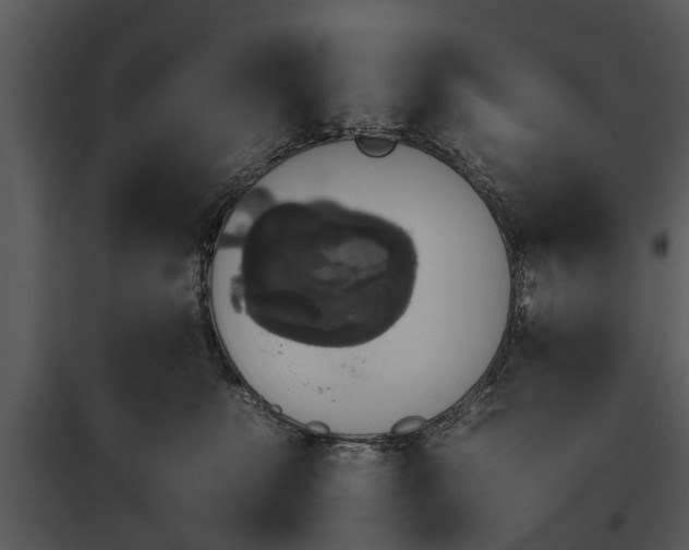 X0000095670519200801151107