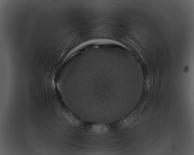 X0000095670520200801151107