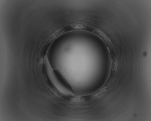 X0000095670521200801151106