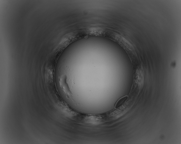 X0000095670522200801151106