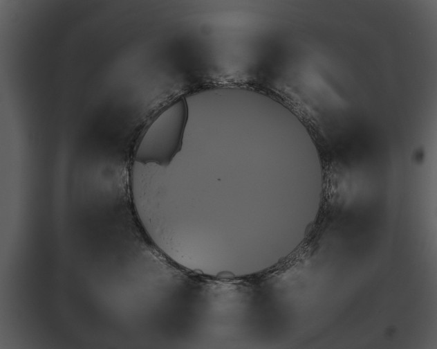 X0000095670523200801151106