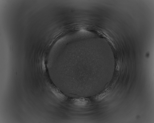 X0000095670524200801151106