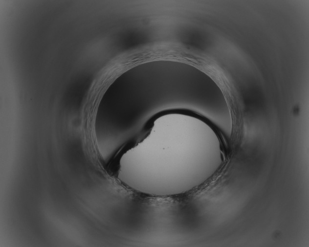 X0000095670525200801151106