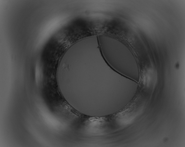 X0000095670526200801151106