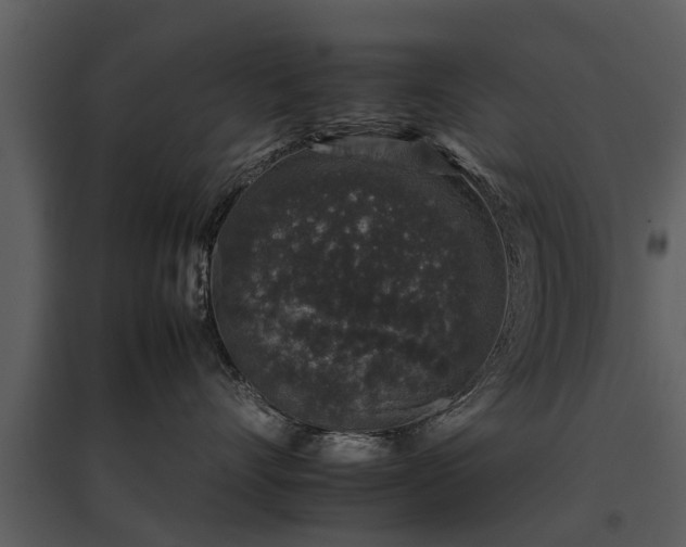 X0000095670528200801151106