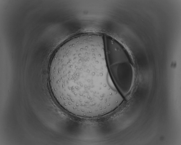 X0000095670529200801151106