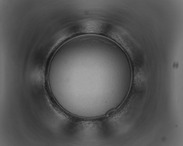 X0000095670530200801151106