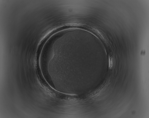 X0000095670531200801151106