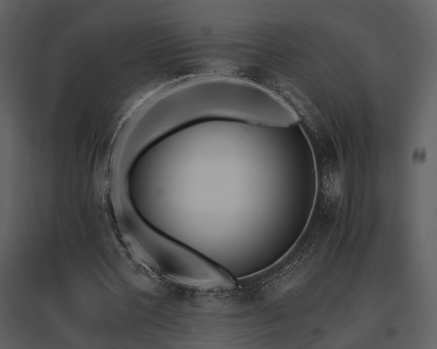 X0000095670532200801151106