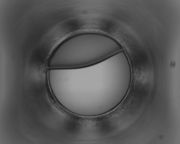 X0000095670533200801151106