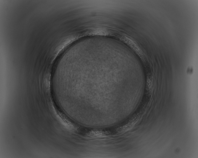 X0000095670534200801151106