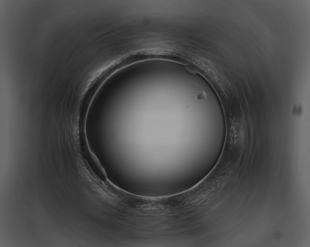 X0000095670535200801151106