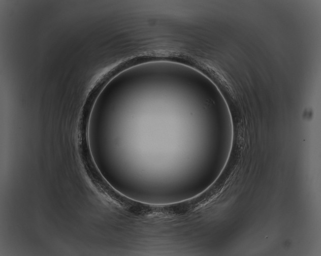 X0000095670536200801151106