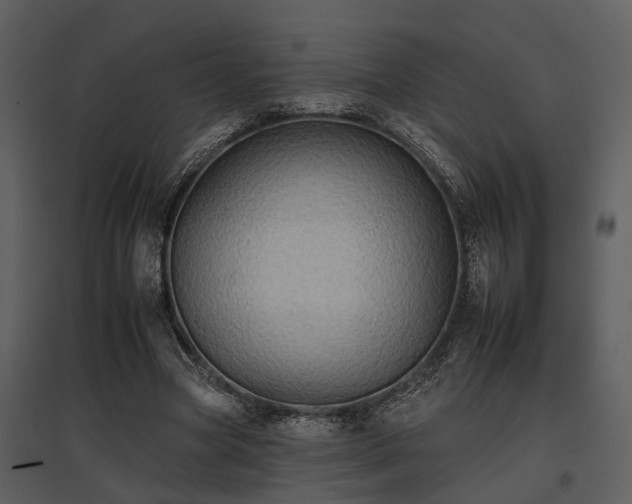 X0000095670537200801151106