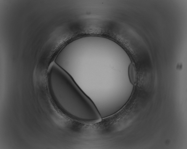 X0000095670538200801151106