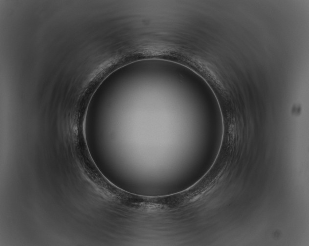 X0000095670539200801151106