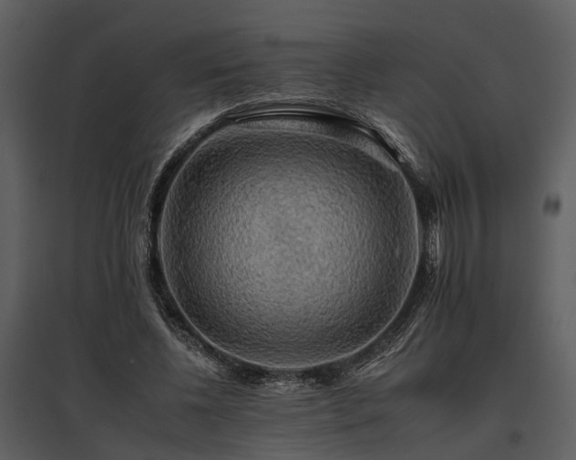 X0000095670540200801151106