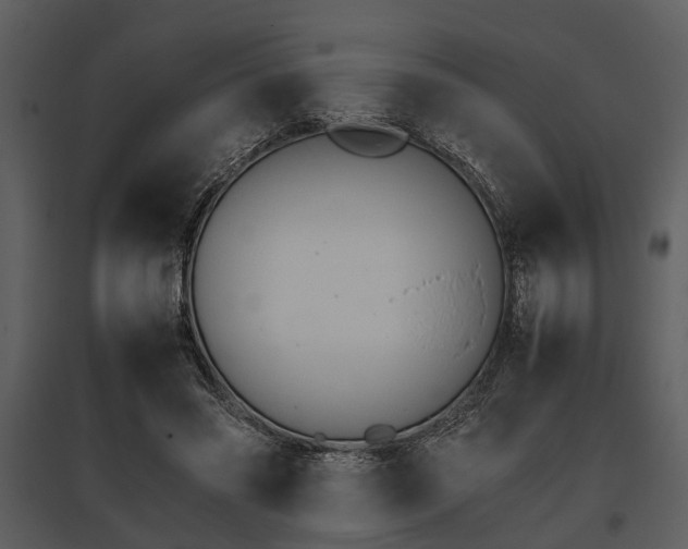 X0000095670541200801151106