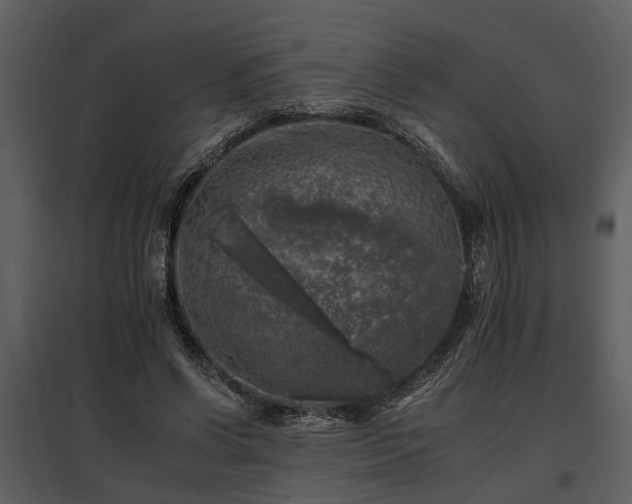 X0000095670542200801151106