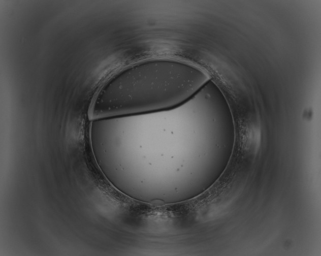 X0000095670543200801151106