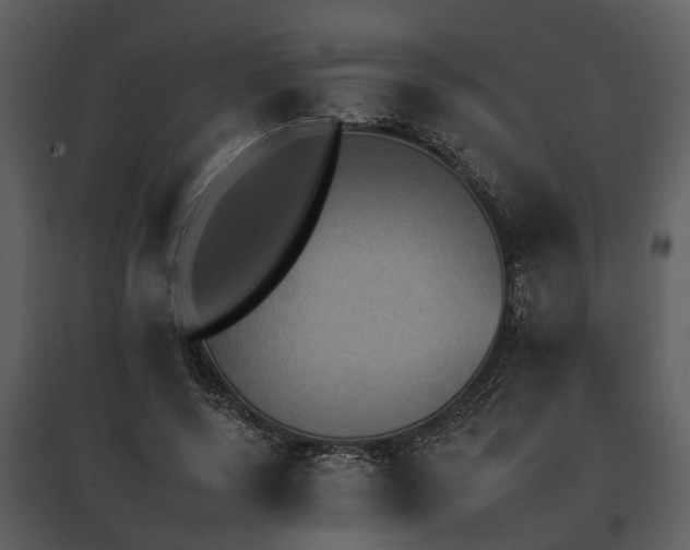 X0000095670544200801151106