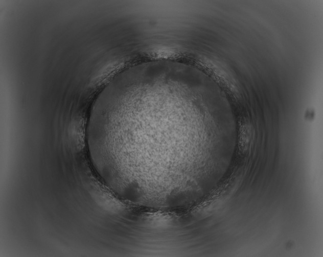 X0000095670545200801151106