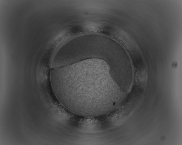 X0000095670546200801151106