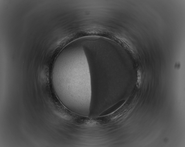 X0000095670547200801151106