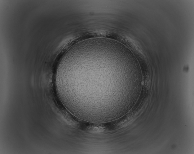 X0000095670548200801151106