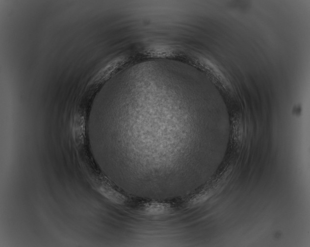 X0000095670549200801151106