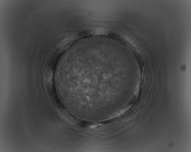 X0000095670550200801151106