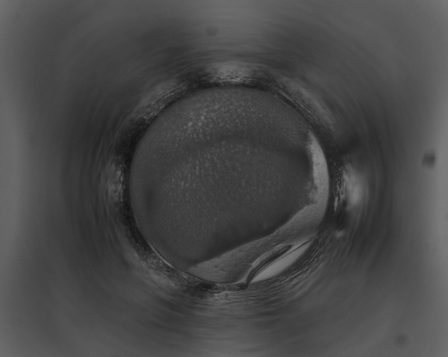 X0000095670551200801151106