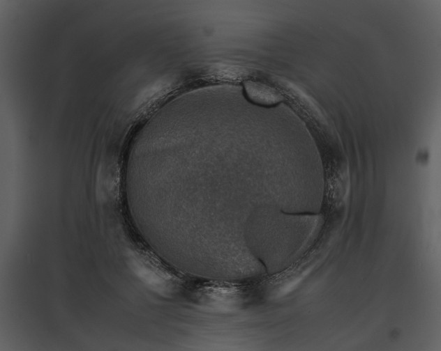 X0000095670552200801151106