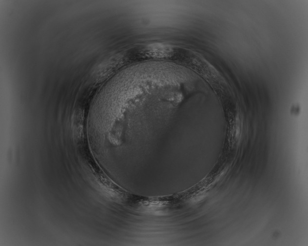 X0000095670553200801151106