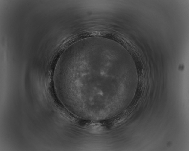 X0000095670554200801151106