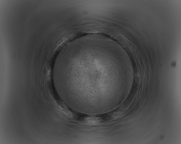 X0000095670556200801151106