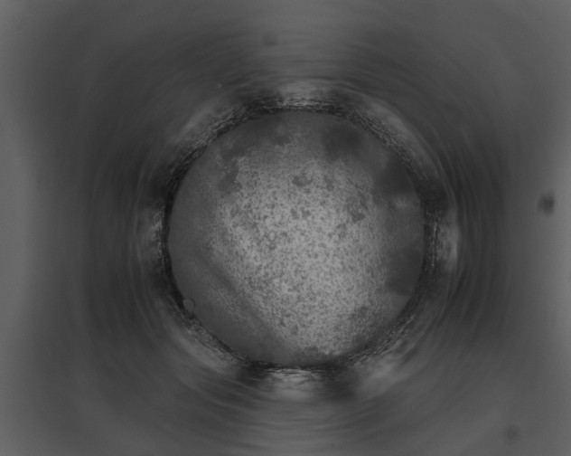 X0000095670557200801151106