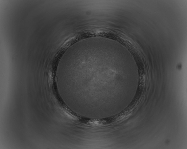 X0000095670558200801151106