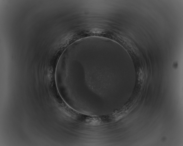 X0000095670559200801151106