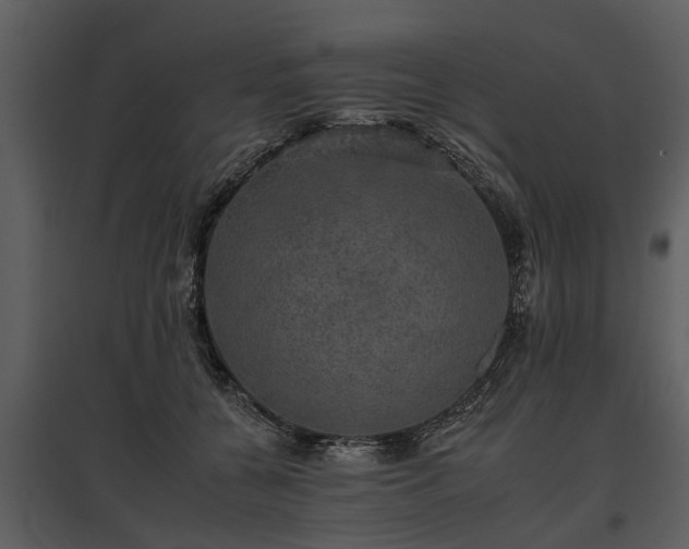 X0000095670560200801151106