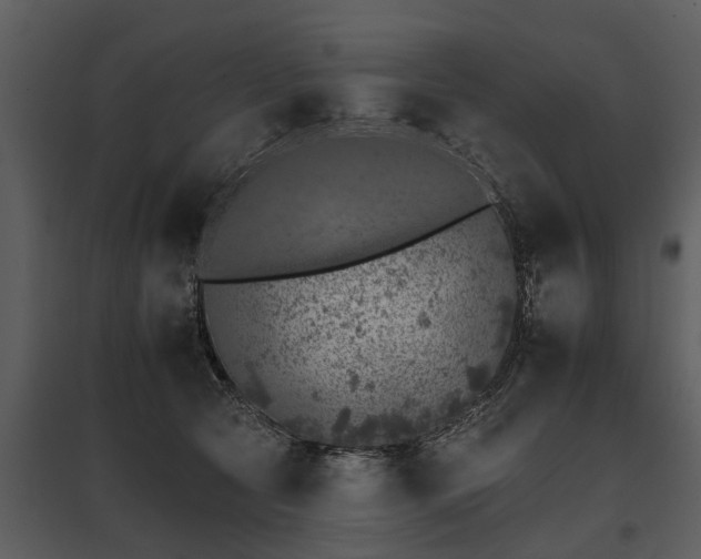 X0000095670561200801151106