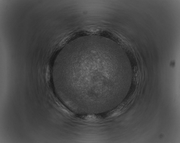 X0000095670562200801151106